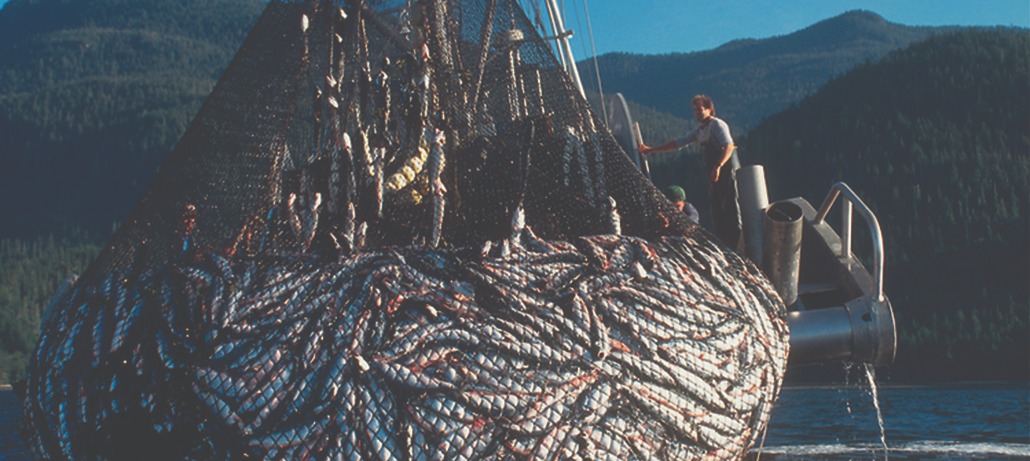 Rope in the fisheries industry